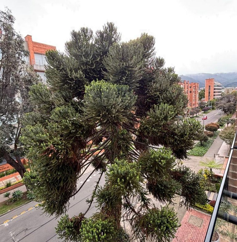 APARTAMENTO EN ARRIENDO – SAN PATRICIO-USAQUÉN – BOGOTÁ