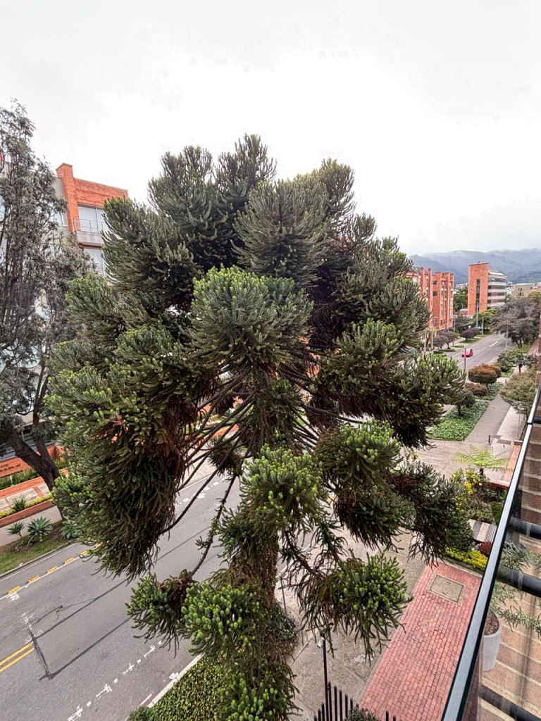 APARTAMENTO EN ARRIENDO – SAN PATRICIO-USAQUÉN – BOGOTÁ