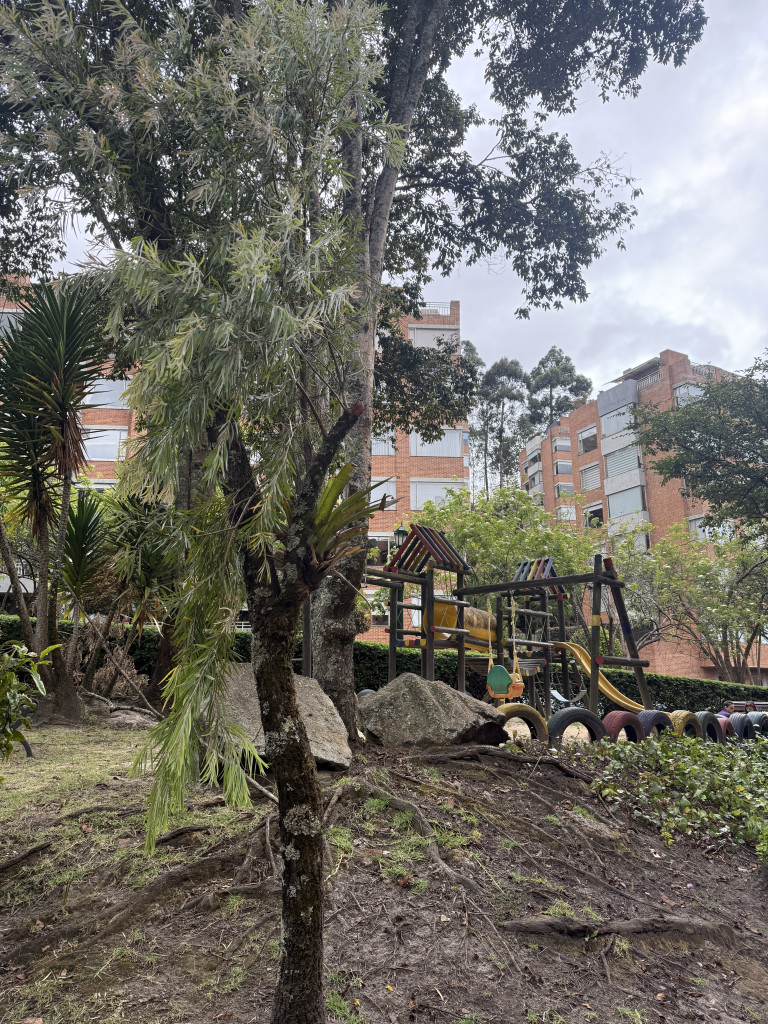 APARTAMENTO EN VENTA – BOSQUES DE PINOS – BOGOTÁ