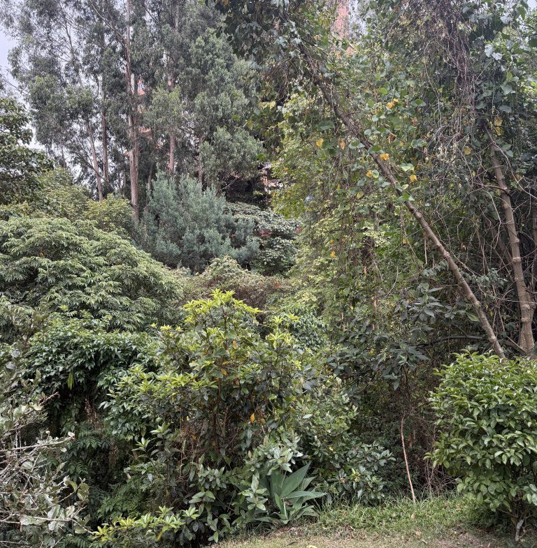 APARTAMENTO EN VENTA – BOSQUES DE PINOS – BOGOTÁ