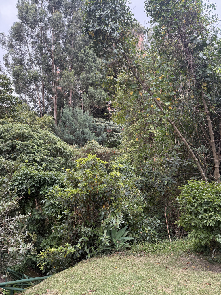 APARTAMENTO EN VENTA – BOSQUES DE PINOS – BOGOTÁ